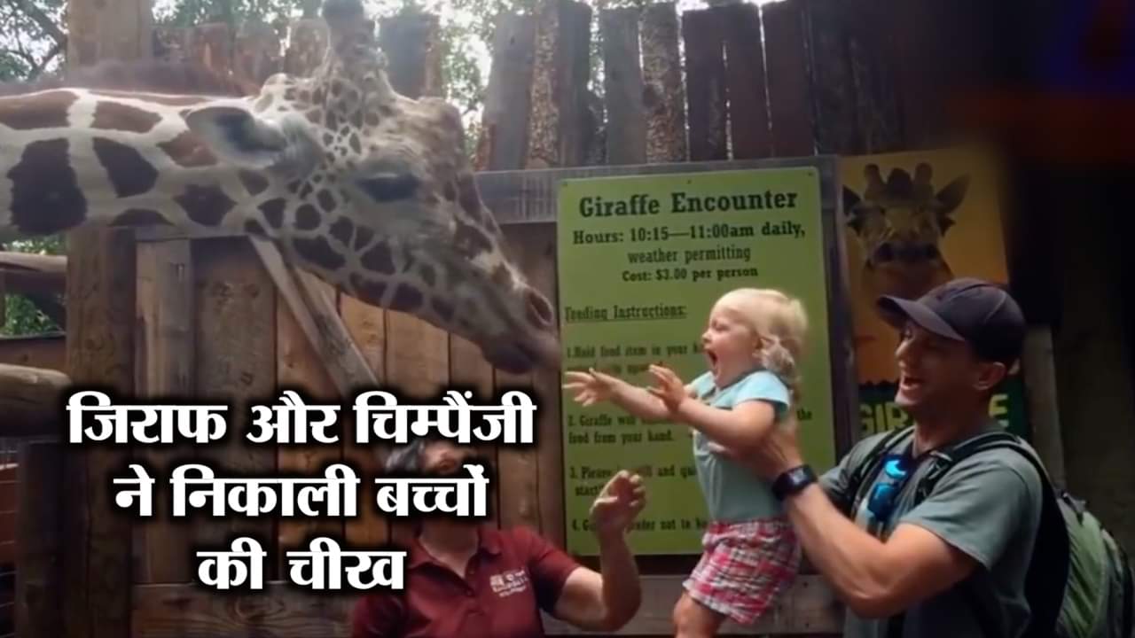 चिंड़ियाघर