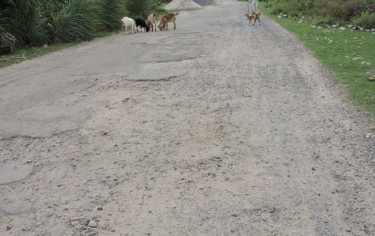 सदर विधानसभा में हुए कामों की होगी जांच