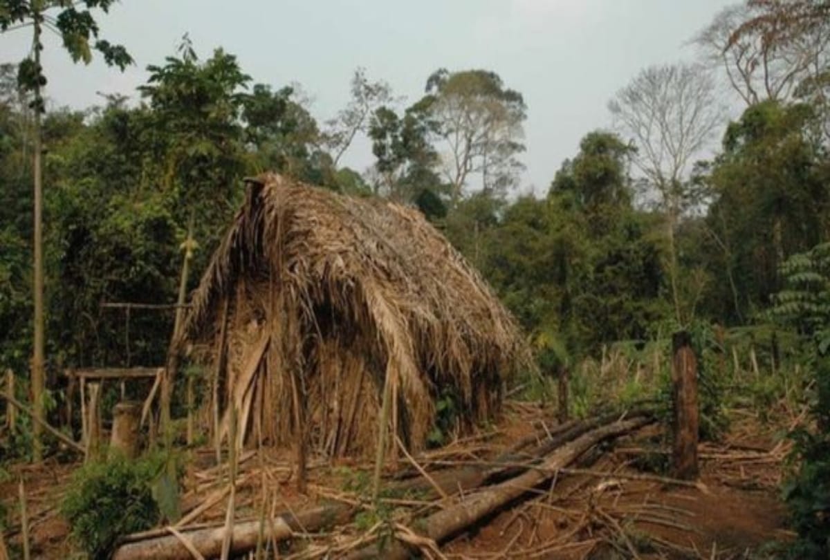 Tribal Man captured in camera after twenty two years living in Brazilian forest