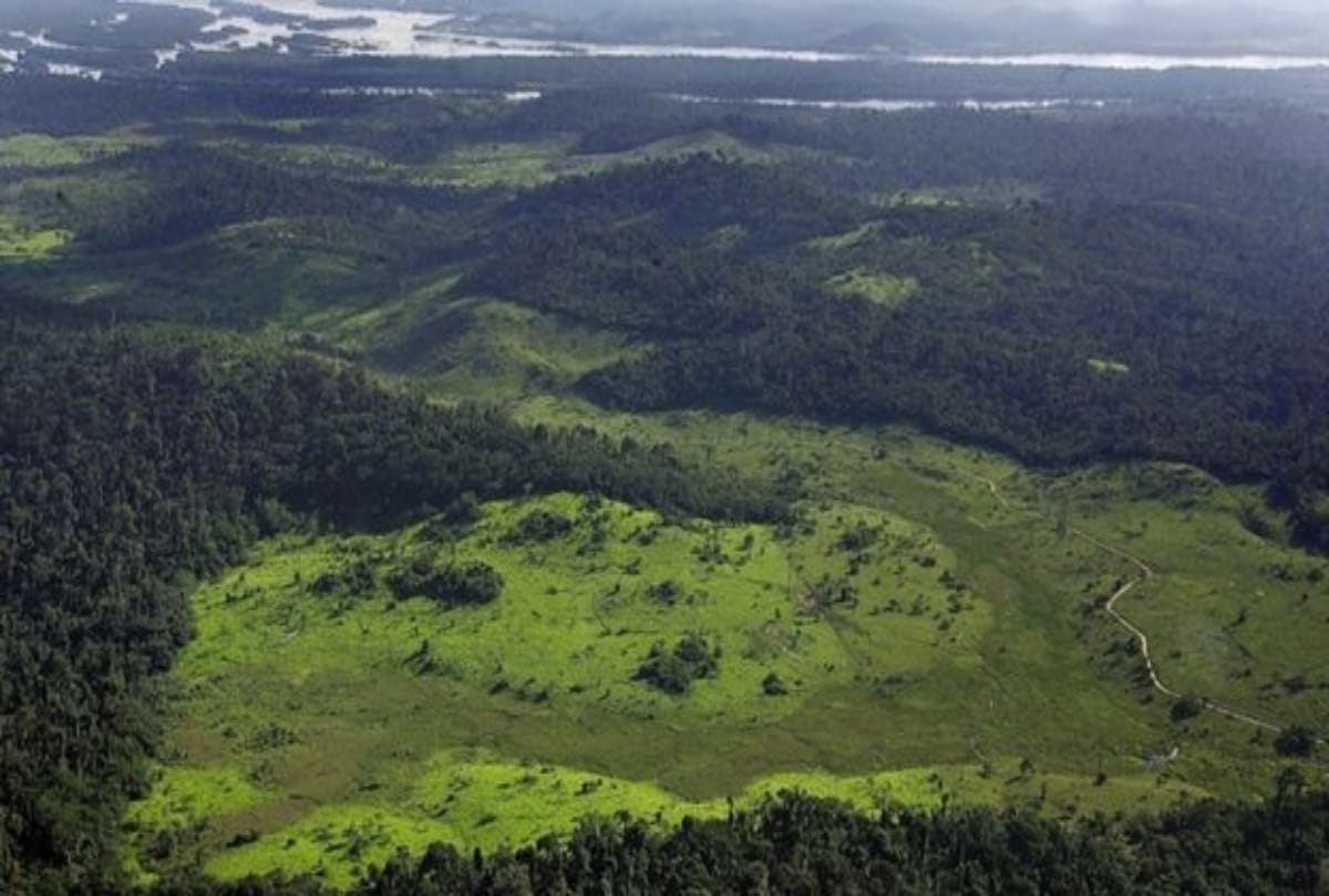 Tribal Man captured in camera after twenty two years living in Brazilian forest