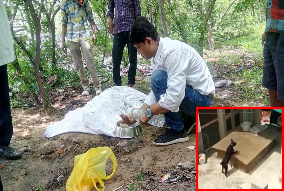 burari case: bhatia family dog tommy dies due to cardiac arrest
