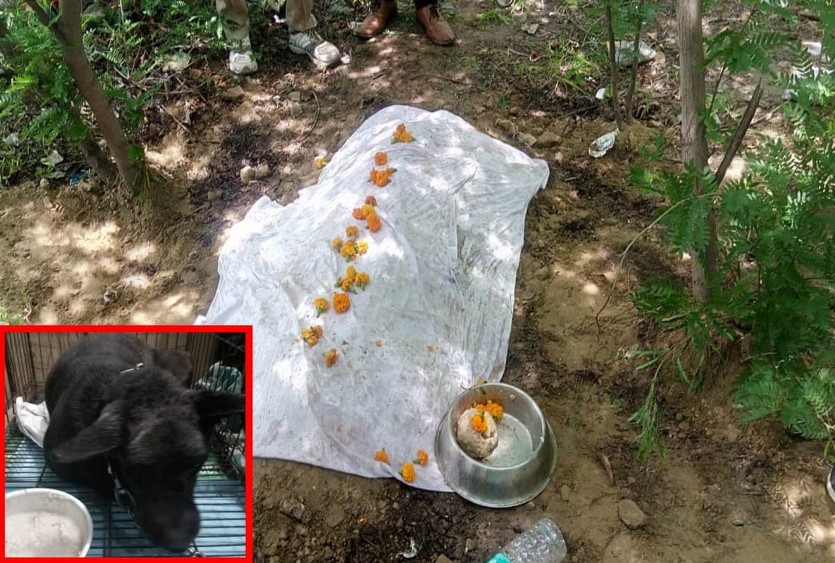 Burari suicide case 11 deaths mystery family members buy items for mass suicide kids involved too