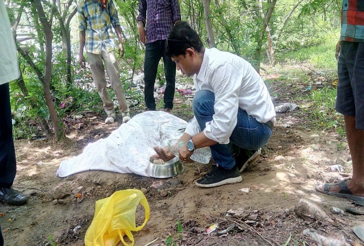 burari case: bhatia family dog tommy dies due to cardiac arrest