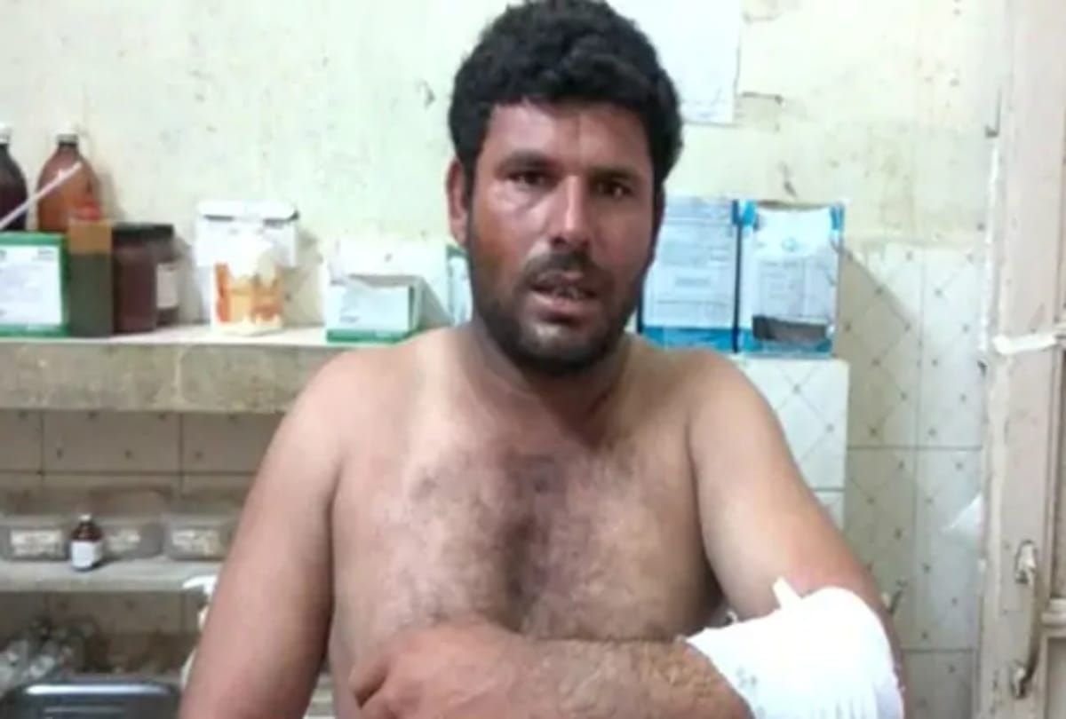 Brave Dog Saves Master life From Lions in Gujarat