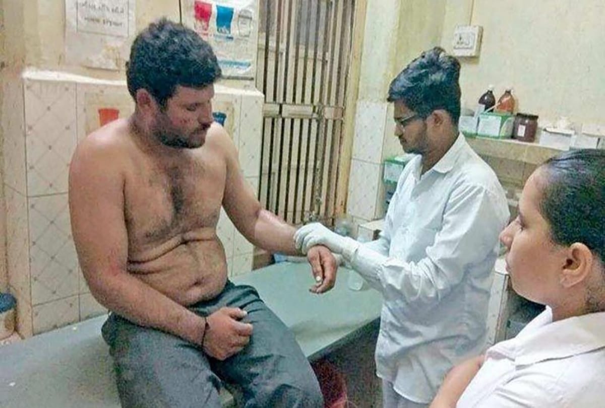 Brave Dog Saves Master life From Lions in Gujarat