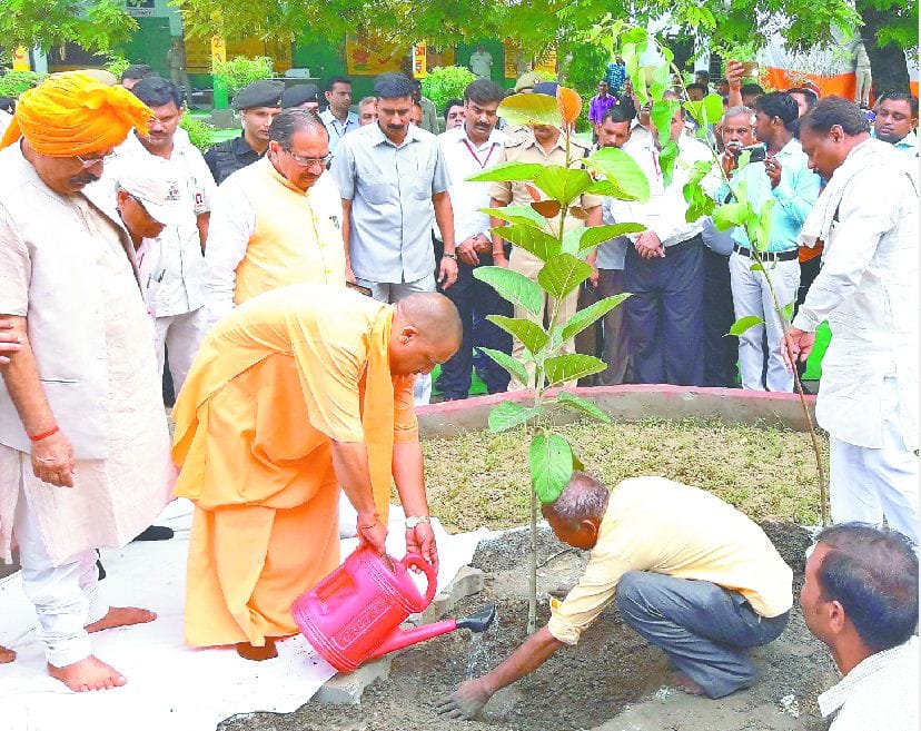 First 10 trees will have to be planted to cut one tree.