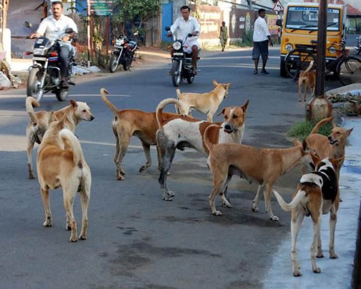 ननिहाल में पूरी रात सो नहीं पाई बिटिया, रोते रहे घरवाले