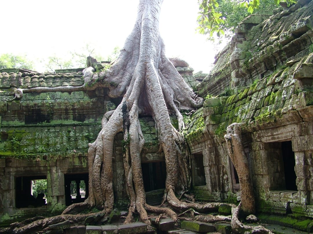  worlds biggest hindu temple Angkor Wat in Combodia