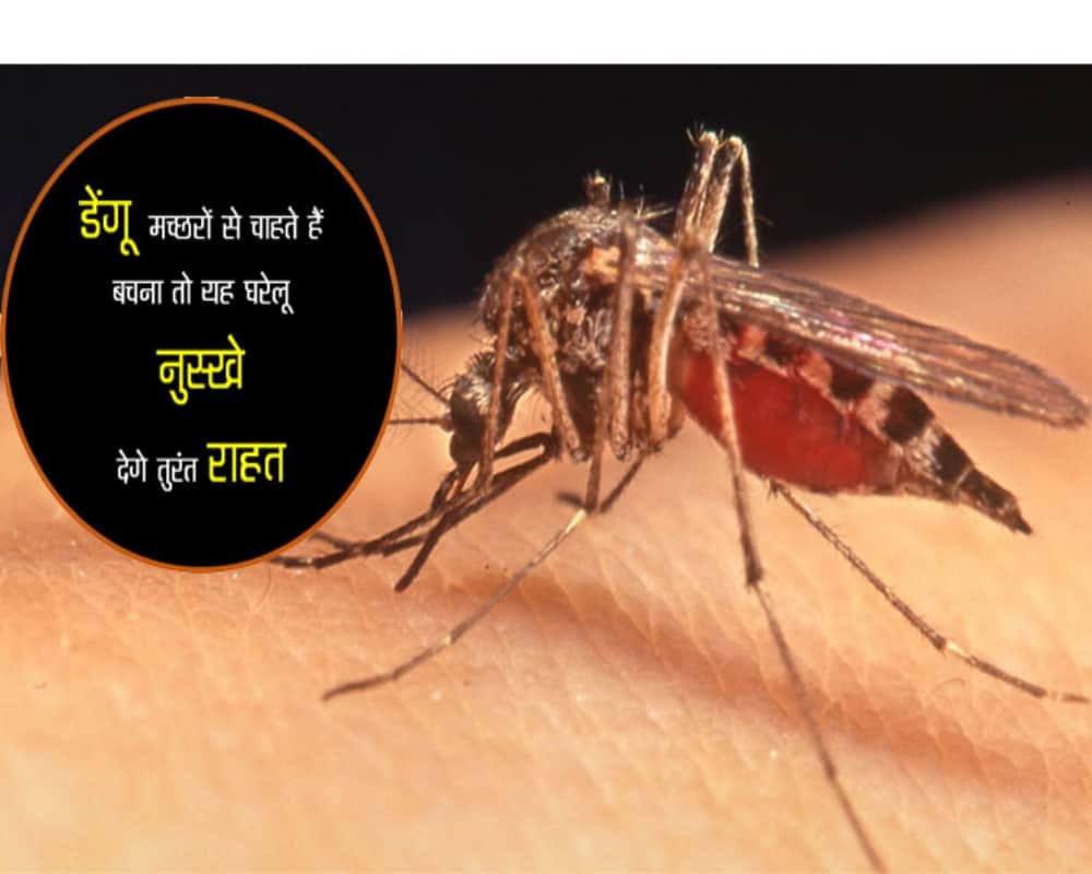 Home remedies for dengue fever treatment in hindi