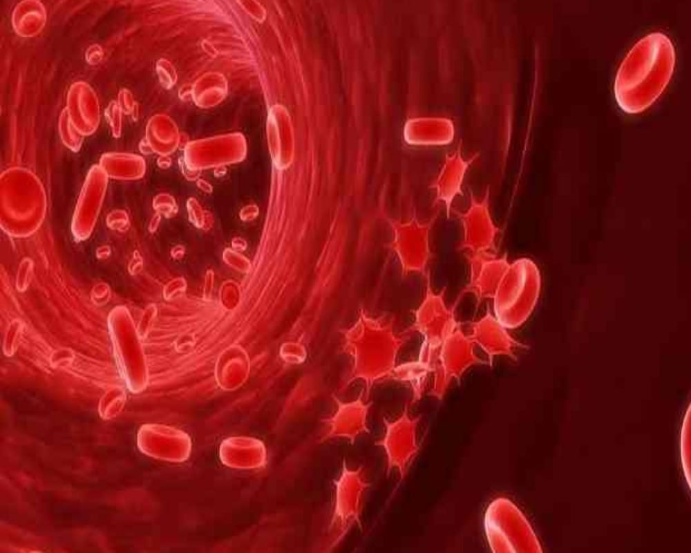 Dengue patients will get free platelets in government hospitals of Haryana