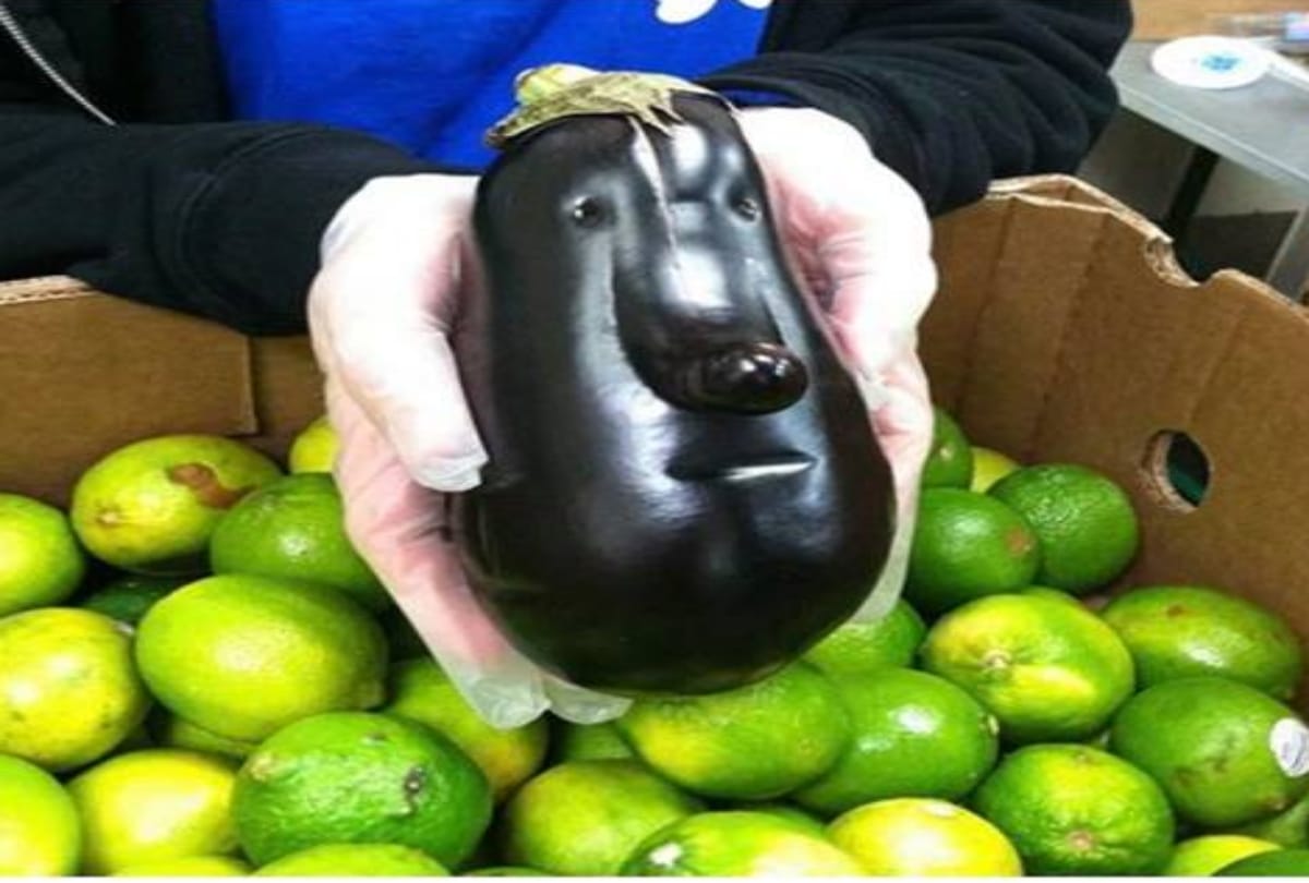 See Twelve funny vegetables photos