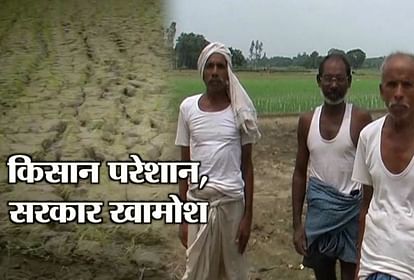 FARMERS CANNOT AFFORD INSEMINATION IN UP DUE TO LACK OF RAIN