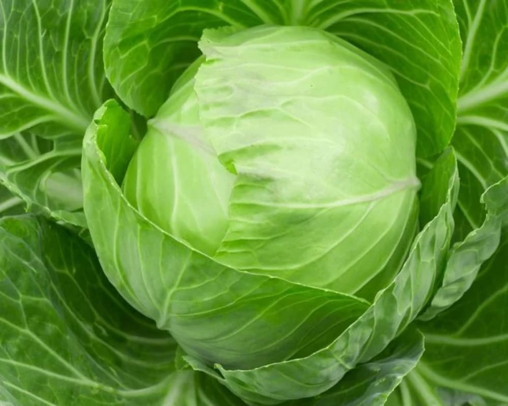 feeling bloated then never eat this food in hindi