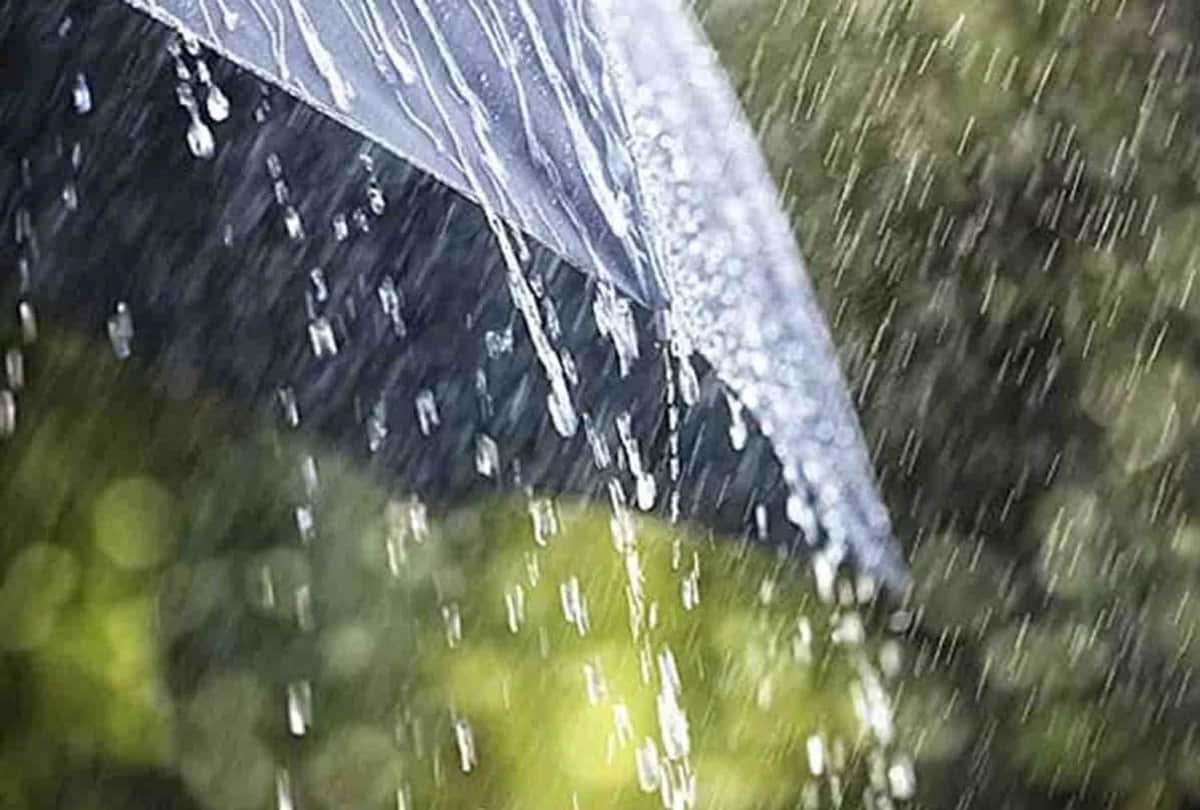 weather Department warns of heavy Rain thundershowers