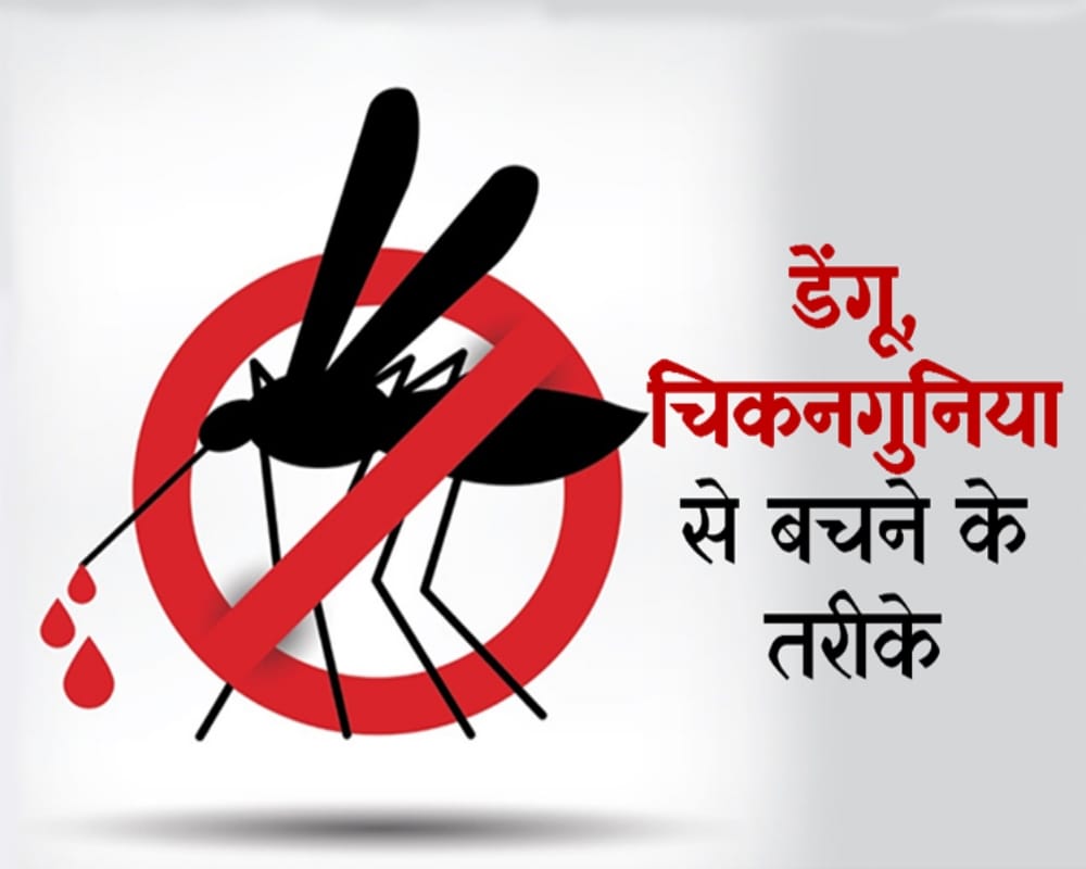 difference between chikungunya and dengue virus,symptoms treatment