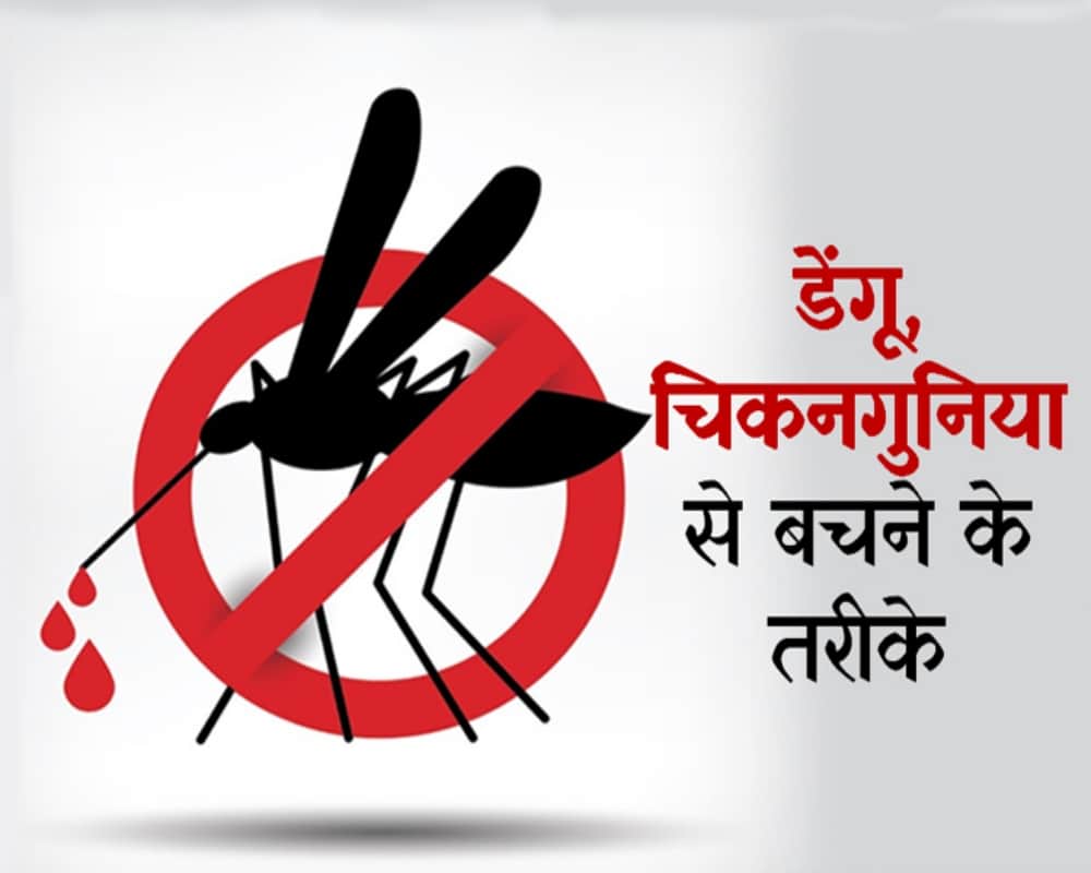 virus of dengue malaria other diseases bacteria spreading largely take these safety measure