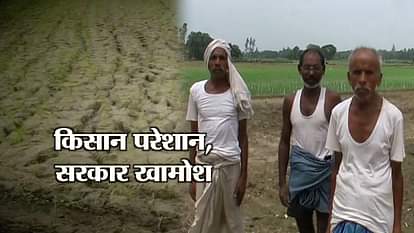 FARMERS CANNOT AFFORD INSEMINATION IN UP DUE TO LACK OF RAIN