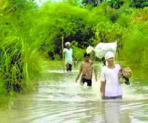 Flood situation grim