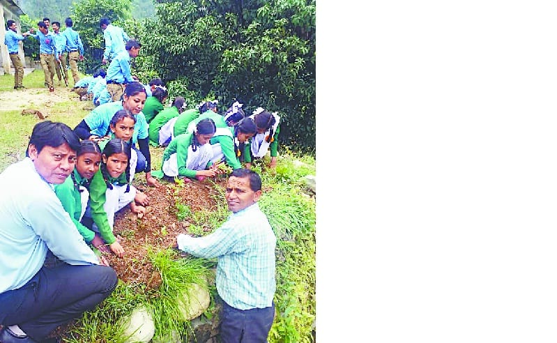 tree plantation in memory of martyr suman
