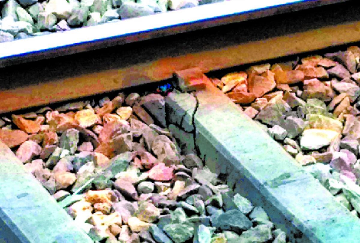condition of railway track and coaches of trains