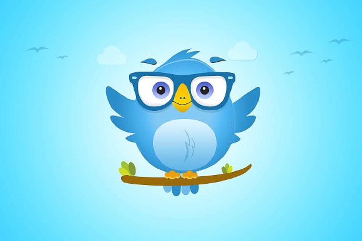 twitter shares hits a low of 15 percent after crack down on spam accounts