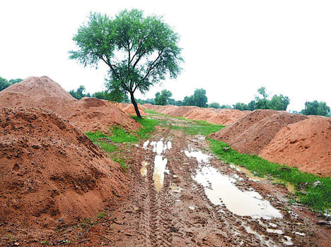 NGT orders, illegal mining in two months