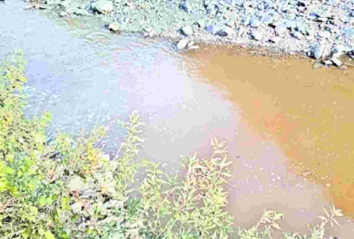 water testing of ashwani khad water will be done in pune lab