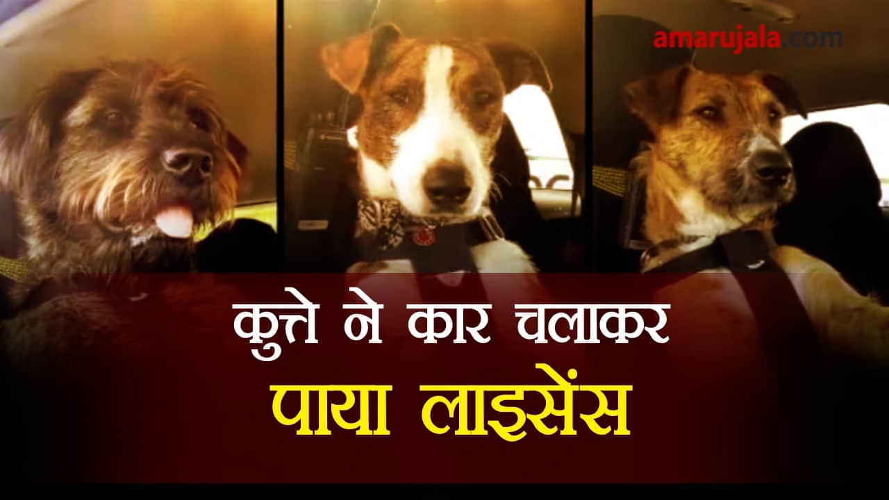 प्रतीकात्मक तस्वीर