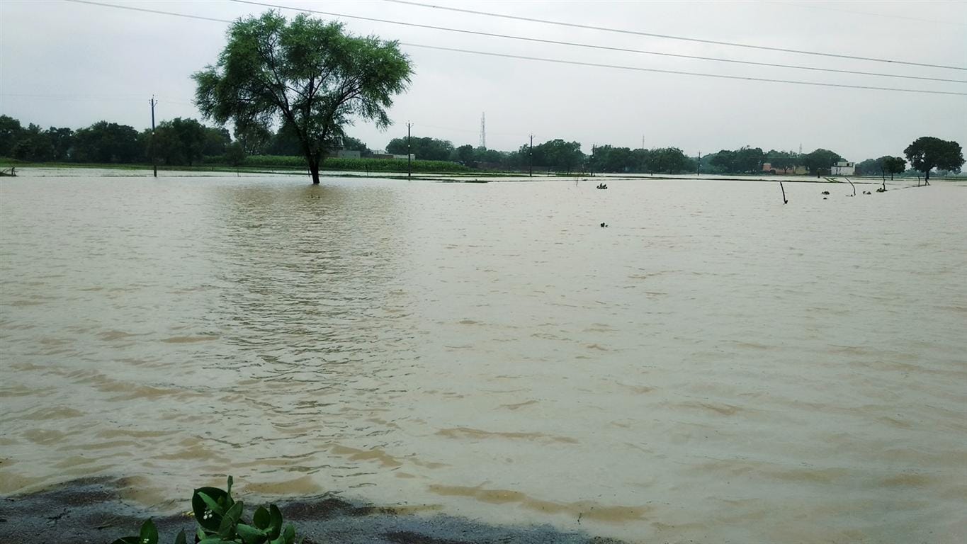 Meteorological Department's new alert for rain in savan