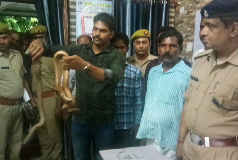 police caught snakes smuggler in faizabad.