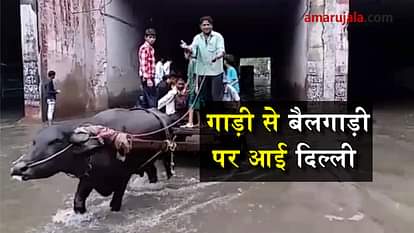 Delhi people using bullock cart for crossing the water filled road