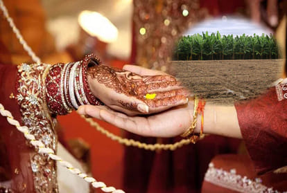 Bridegroom denies marriage