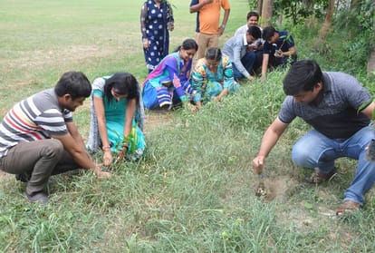 Invertis university organized a swachchta abhiyan program