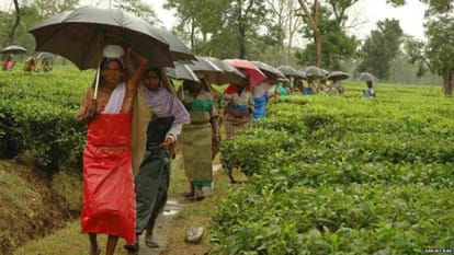 for lok sabha chunav BJP targeting tribals in Bengal