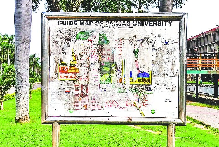 Student Council Election Posters and Stickers in Punjab University
