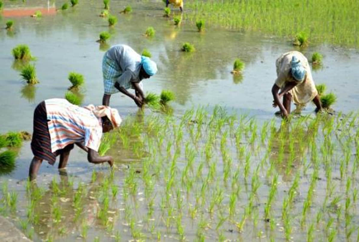 Meteorological Department again warns about rain