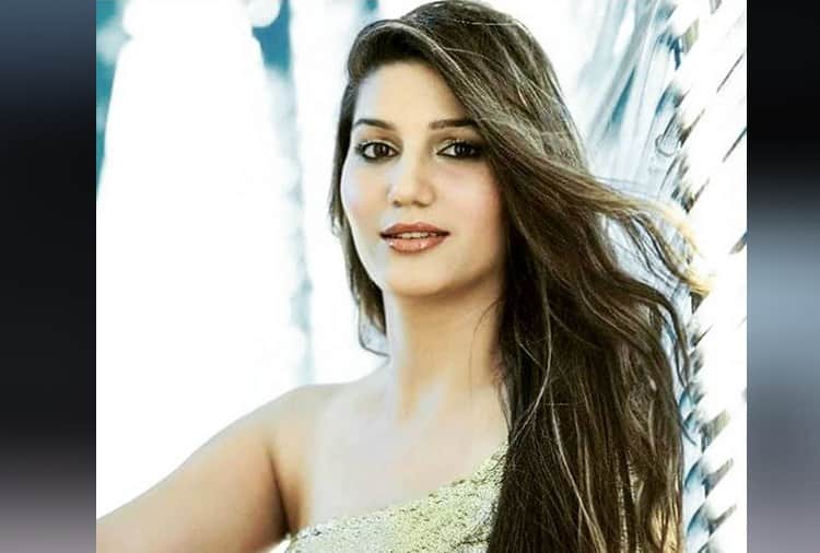 Chandigarh, Sapna Choudhary Dance Performance in Nepal, Video Viral