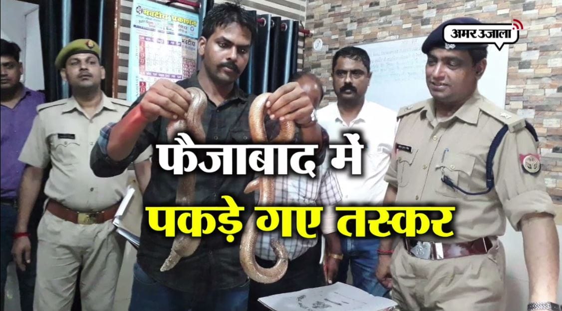 सांप तस्कर