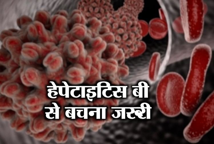 World Hepatitis Day 2023: चुपके से लिवर पर हमला करता हेपेटाइटिस-B, बेहद सामान्य लक्षण; देरी से जा सकती है जान