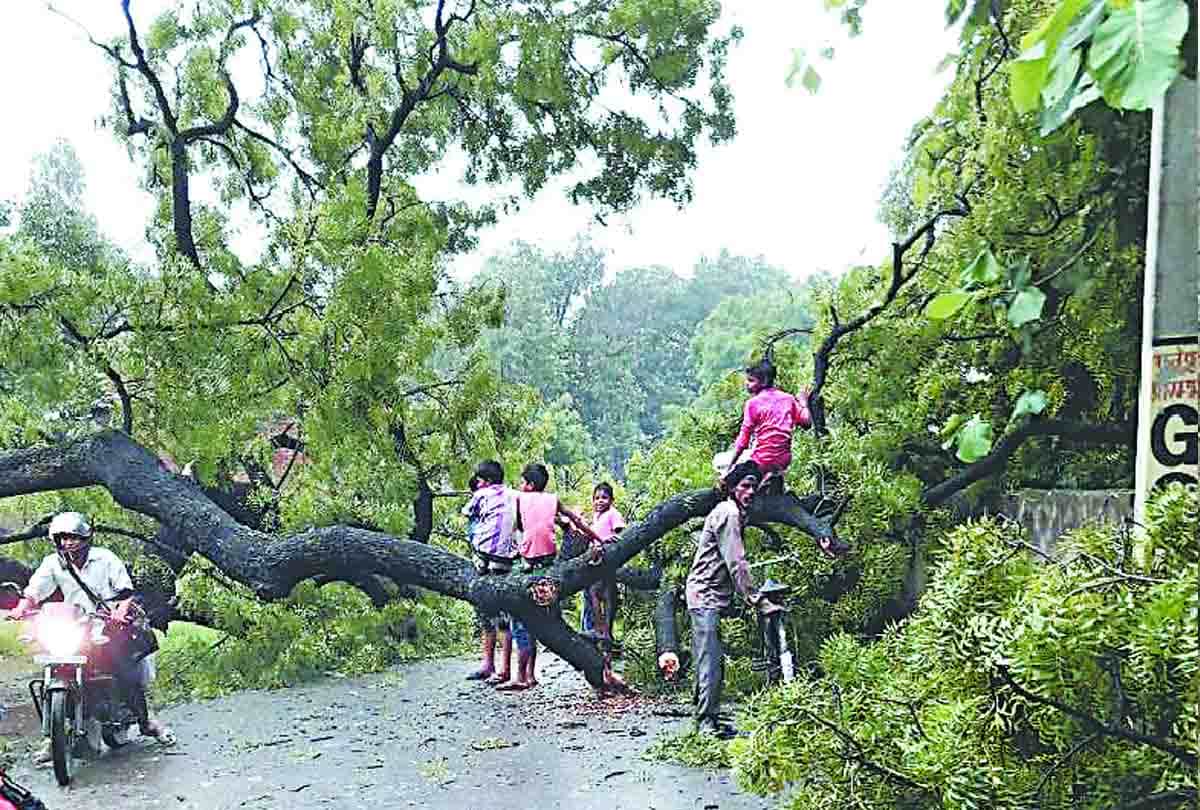 six deaths due to falling house in rain