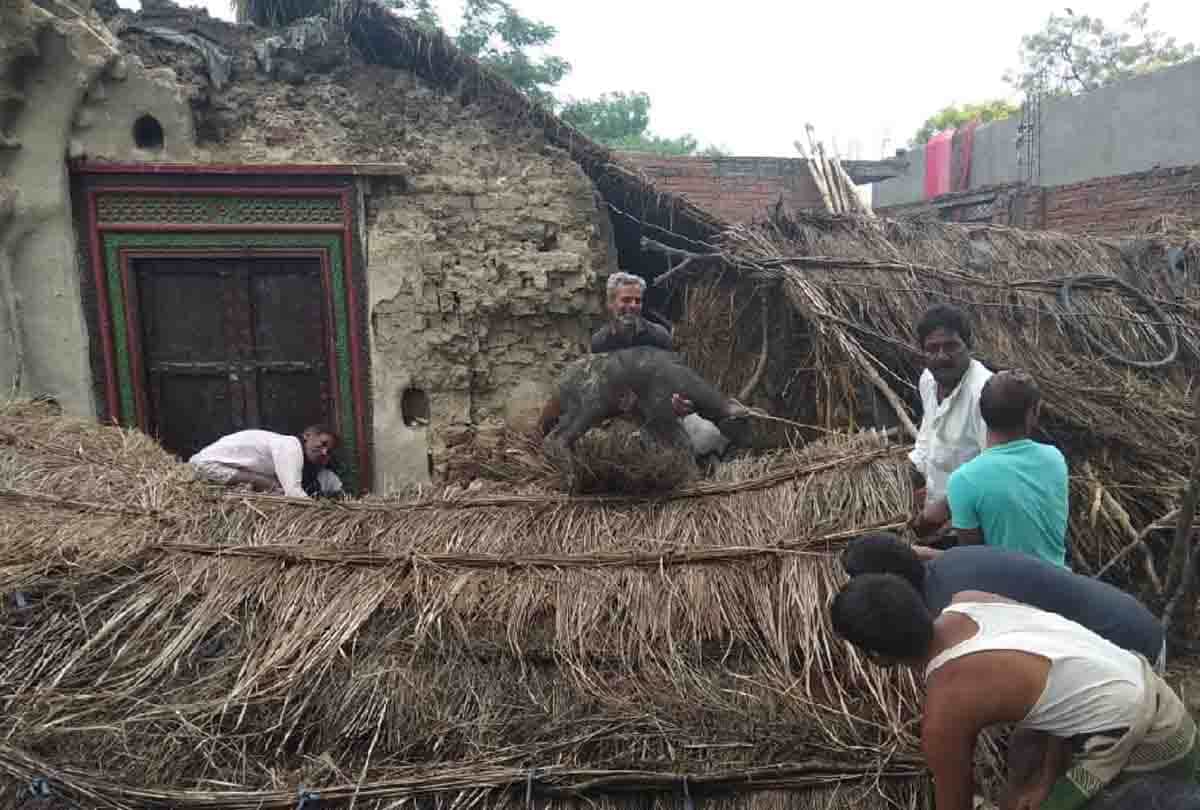 six deaths due to falling house in rain