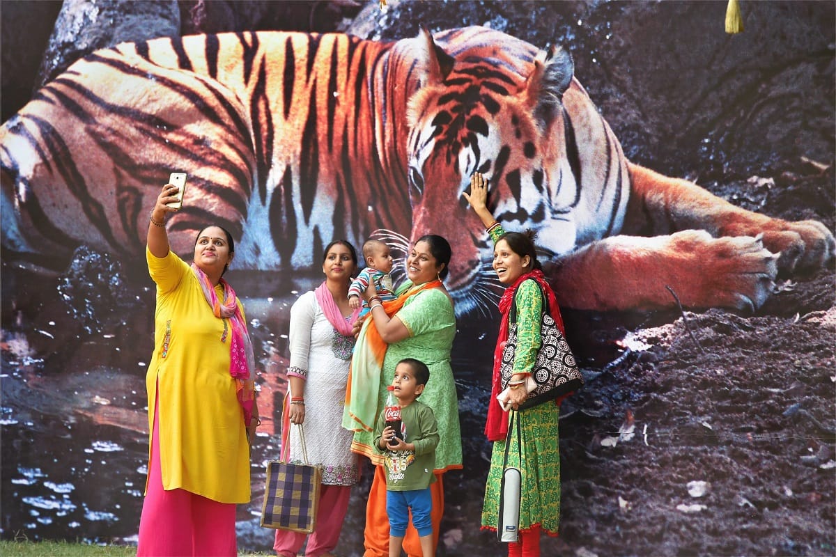  International tiger day : 1411 tiger left in india, Aircel famous ad campaign Save Our Tigers