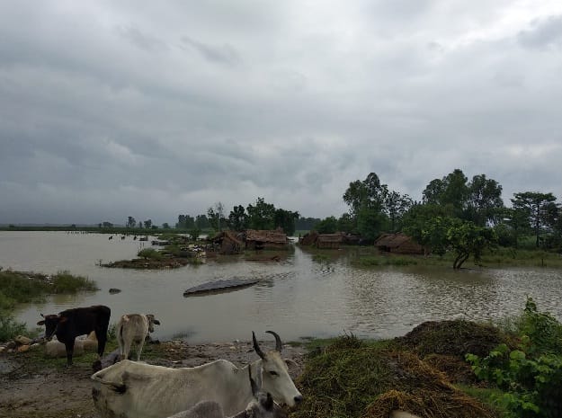  After the Brahmapuri, river water reached in Rawli