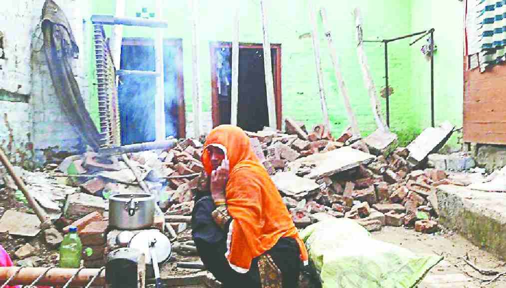 Roof not eating bread on the head, such a cut life