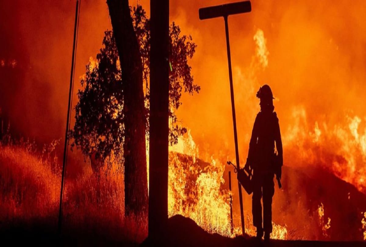 77 people die from the fire in California's forests