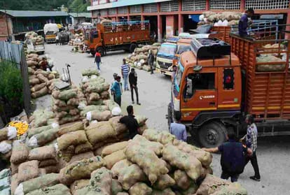Cabbage rate is two  rupee per kg in vegetable market dhali