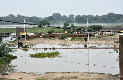 Fears of flood in vrindavan as Yamuna water level rises