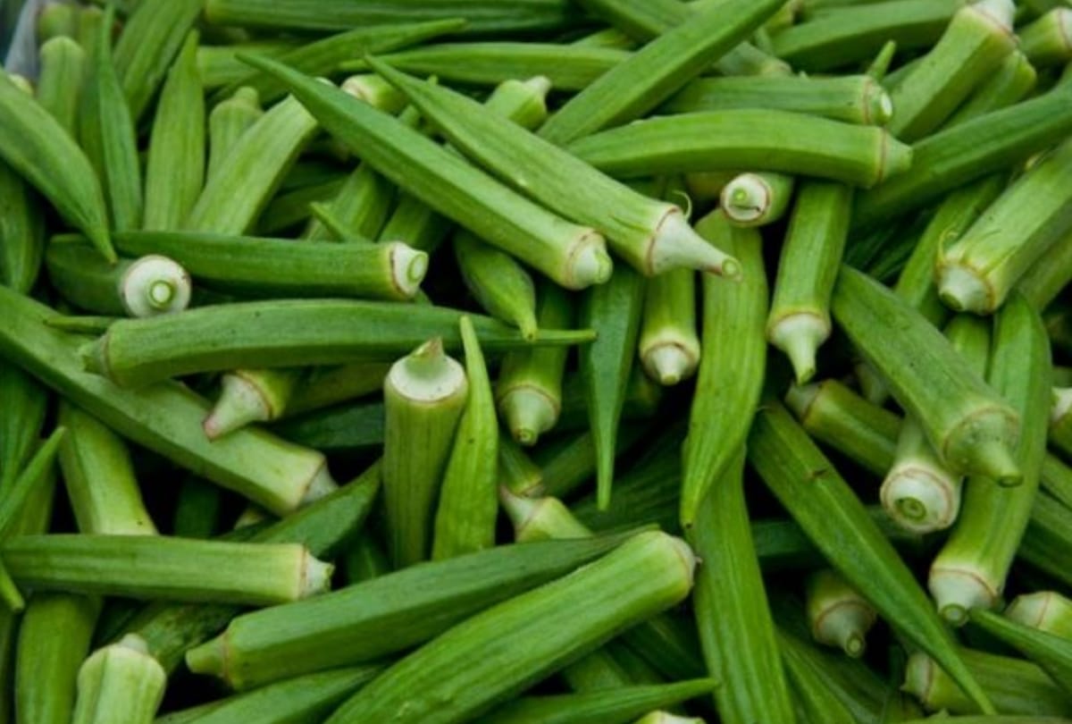 rate of pumpkin hiked in lucknow