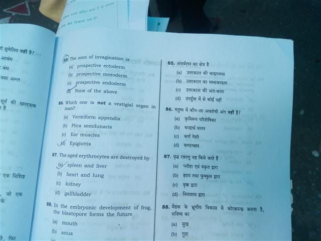  LT grade teacher recruitment examination: a question asked twice