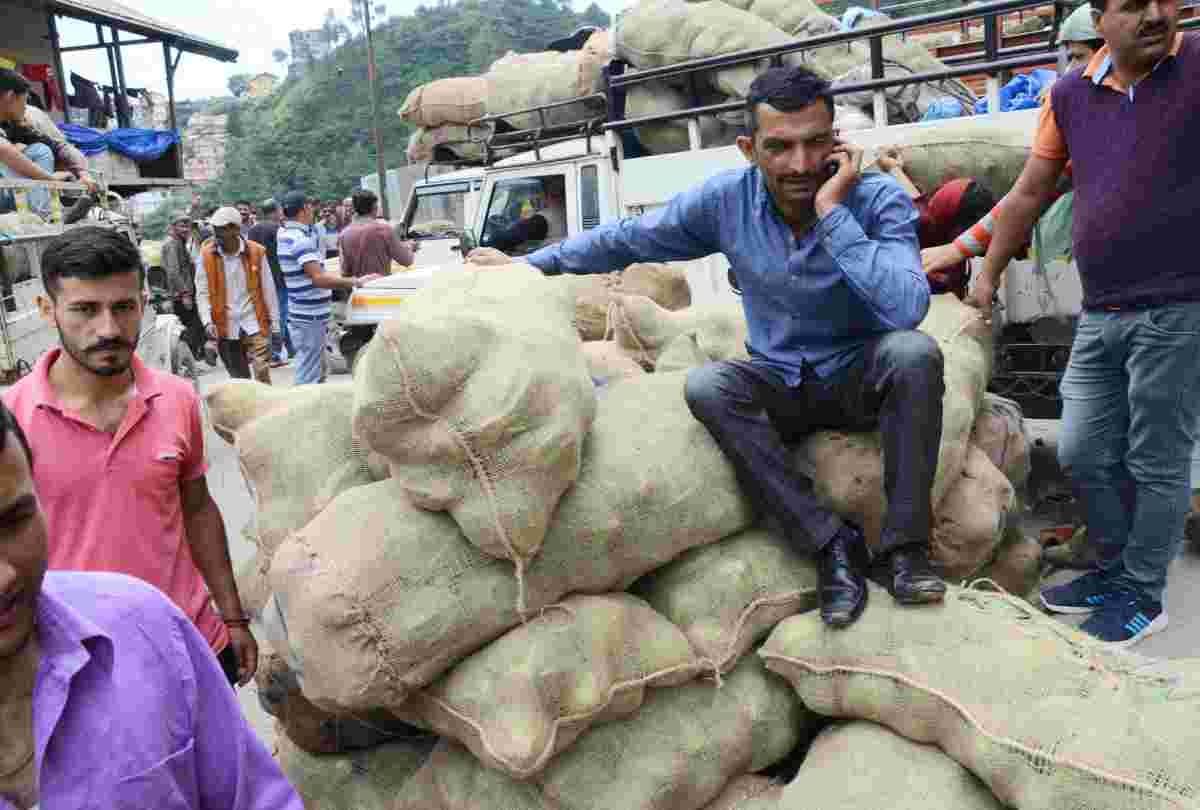 Cabbage rate is two  rupee per kg in vegetable market dhali